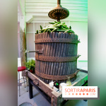 Journée Mondiale du Concombre à la Cartonnerie