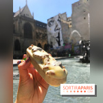 Les glaces 2017 de l'Eclair de Génie