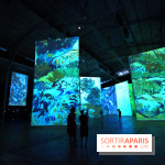 Imagine Van Gogh à la Grande Halle de la Villette