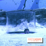 Les Manchots de l'Aquarium Sea Life