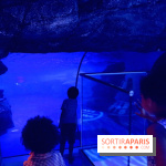 Les Manchots de l'Aquarium Sea Life