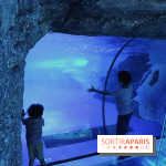 Les Manchots de l'Aquarium Sea Life