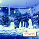 Les Manchots de l'Aquarium Sea Life