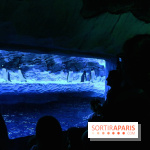 Les Manchots de l'Aquarium Sea Life