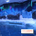 Les Manchots de l'Aquarium Sea Life