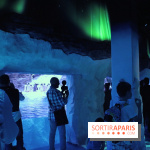 Les Manchots de l'Aquarium Sea Life