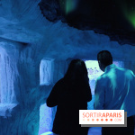 Les Manchots de l'Aquarium Sea Life