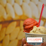 Les glaces chez Le Roy René