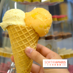 Les glaces chez Le Roy René