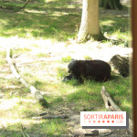 Camion Safari : une visite guidée dans les coulisses de Thoiry