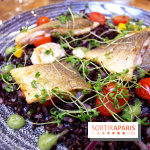 Les Fous de l'île : dorade royale