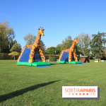 Ventes de voitures d'occasion à 'lhippodrome de St Cloud