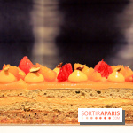 Bûche de Foucade 2017