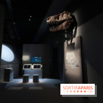 Exposition Météorites au Muséum national d'Histoire naturelle, les photos