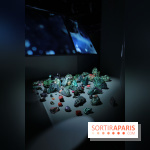 Exposition Météorites au Muséum national d'Histoire naturelle, les photos