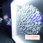 Exposition Météorites au Muséum national d'Histoire naturelle, les photos