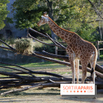 Mission Protéger au Parc Zoologique