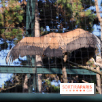 Mission Protéger au Parc Zoologique