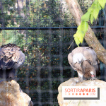 Mission Protéger au Parc Zoologique