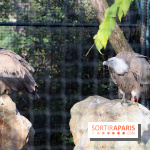 Mission Protéger au Parc Zoologique