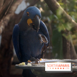 Mission Protéger au Parc Zoologique