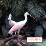 Mission Protéger au Parc Zoologique