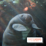 Mission Protéger au Parc Zoologique