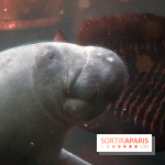 Mission Protéger au Parc Zoologique