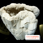 Un monde de plis à la chapelle Expiatoire