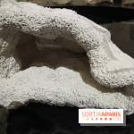 Un monde de plis à la chapelle Expiatoire