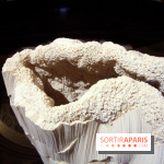 Un monde de plis à la chapelle Expiatoire