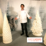 Les Bûches 2017 et galette des rois 2018 de Lenôtre