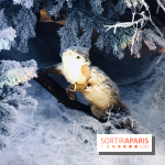 Noël 2017 à Vaux le Vicomte