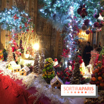 Noël 2017 à Vaux le Vicomte