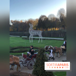 Noël 2017 à Vaux le Vicomte