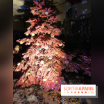 Noël 2017 à Vaux le Vicomte