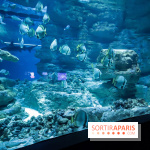 Peppa Pig débarque à l’Aquarium de Paris