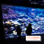 Peppa Pig débarque à l’Aquarium de Paris