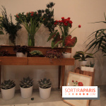 Le pop-up Store de Bergamotte