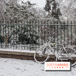 La Neige à Paris - IMG 2841