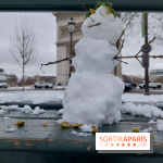 La Neige à Paris - 20260107 123555