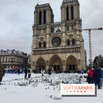 La Neige à Paris - Notre Dame de Paris