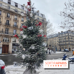 La Neige à Paris - sapin décoré Noël