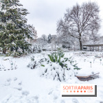 La Neige à Paris