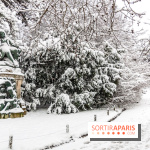 La Neige à Paris