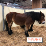 Salon de l'agriculture 2018