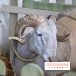 Salon de l'agriculture 2018