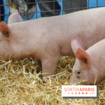 Salon de l'agriculture 2018