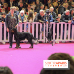 Salon de l'agriculture 2018