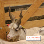 Salon de l'agriculture 2018